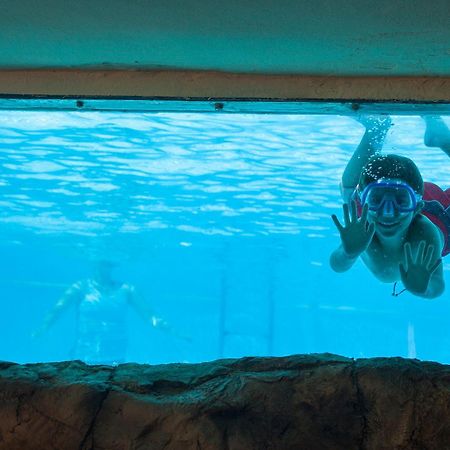 Dosi Hotel シダ エクステリア 写真